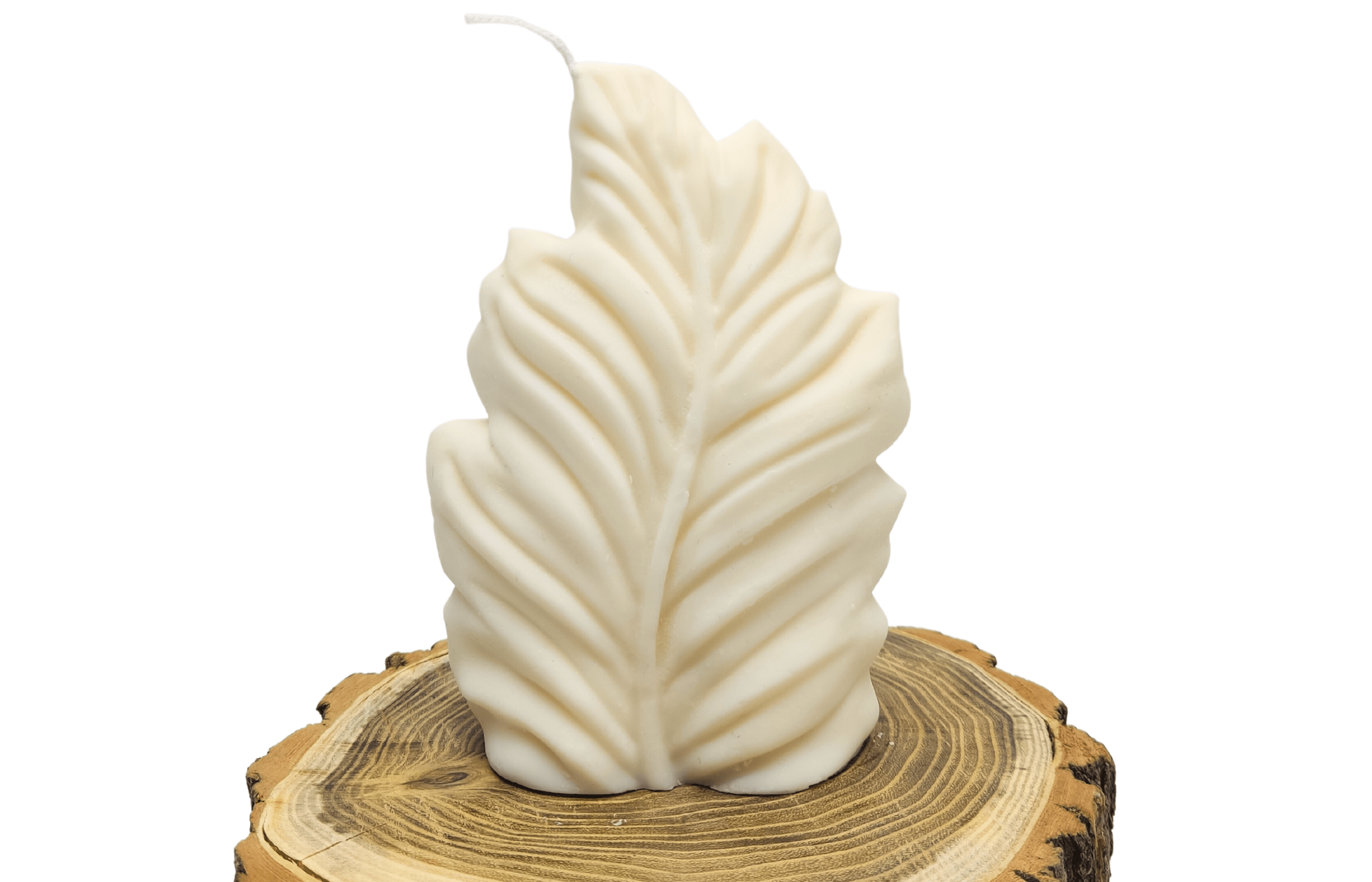 Candle - Big leaf